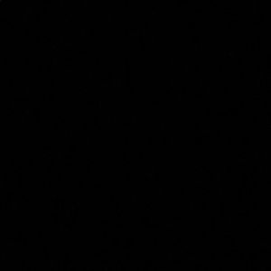 Meet your Posher, Pasha